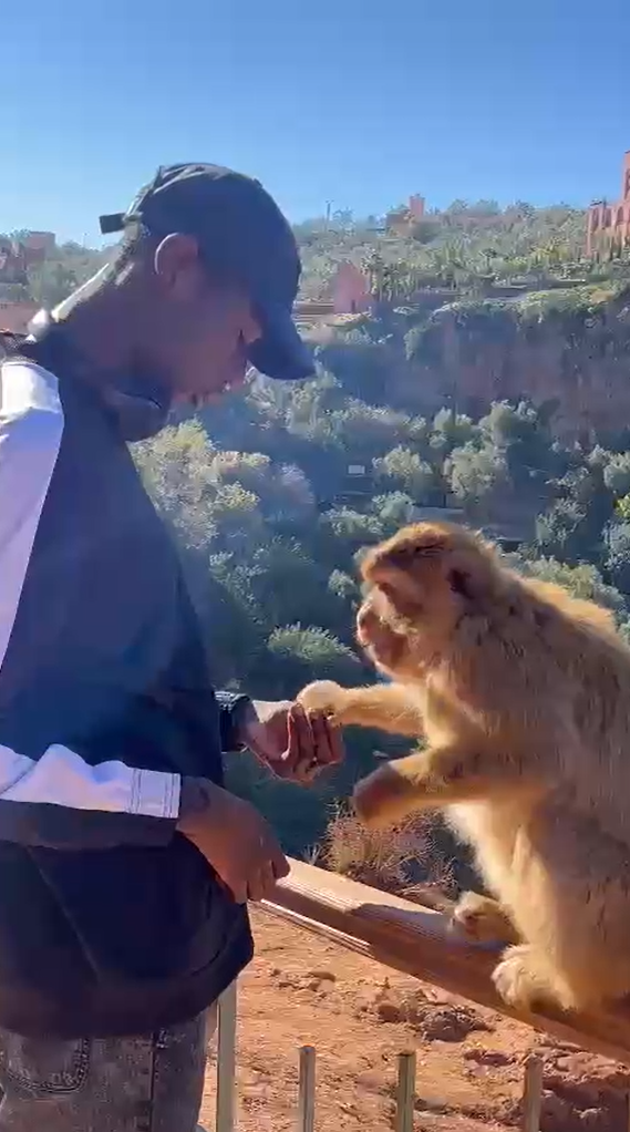 Experience the magic of the ouzoud falls : My son with a monkey